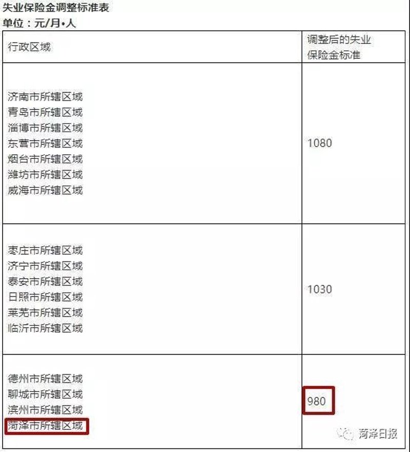 企业网站模板：定制化与灵活性的双重考量